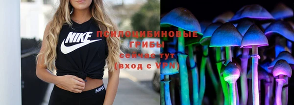 дмт Заводоуковск