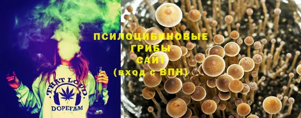 мдпв Заволжск