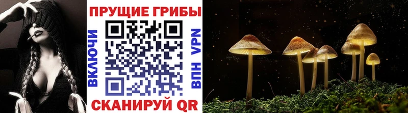 мега ссылка  Калачинск  Псилоцибиновые грибы GOLDEN TEACHER 